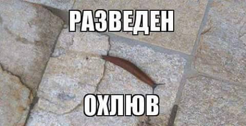 семейно жилище развод раздяла